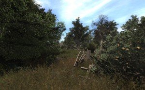 Forest-Lost-Alpha-Lastportal-org